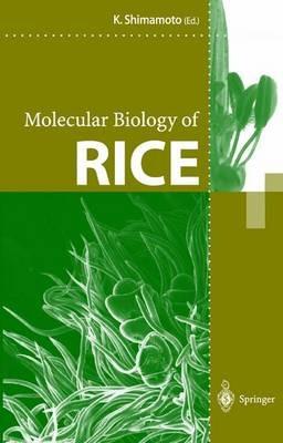 Molecular Biology of Rice - cover