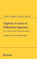 Algebraic Analysis of Differential Equations: from Microlocal Analysis to Exponential Asymptotics