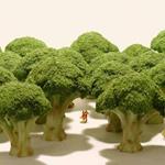 SMALL WONDERS: LIFE PORTRAIT IN MINIATURE