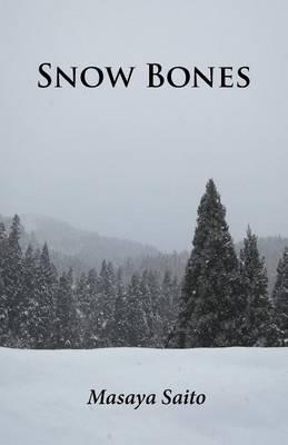 Snow Bones - Masaya Saito - cover