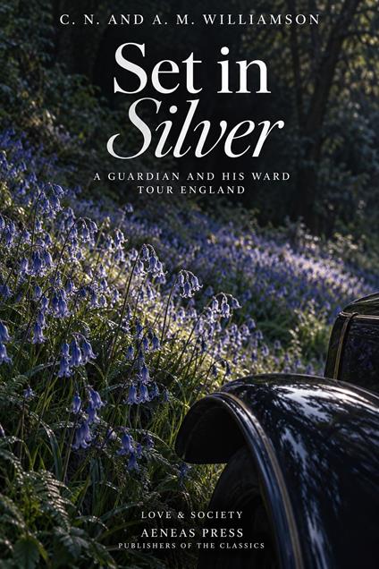 Set in Silver