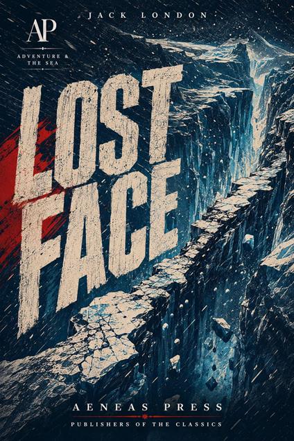 Lost Face