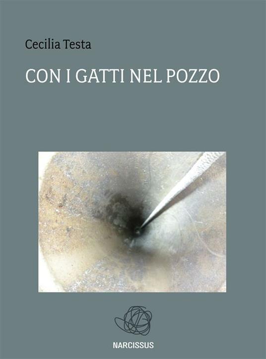 Con i gatti nel pozzo - Cecilia Testa - ebook