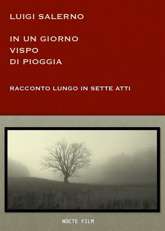 In un giorno vispo di pioggia - Luigi Salerno - ebook