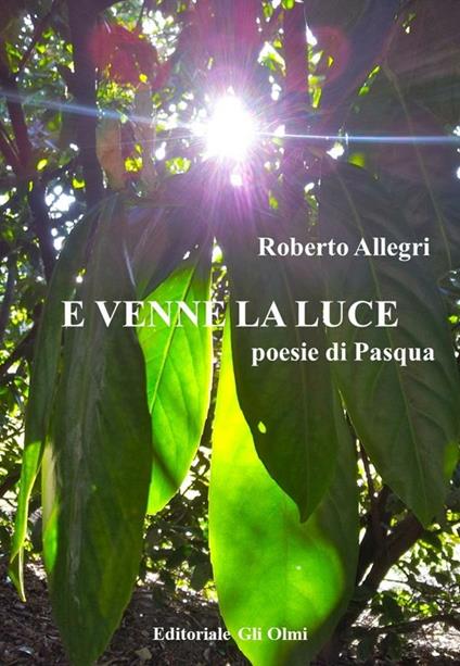 E venne la luce. Poesie di Pasqua - Roberto Allegri - ebook