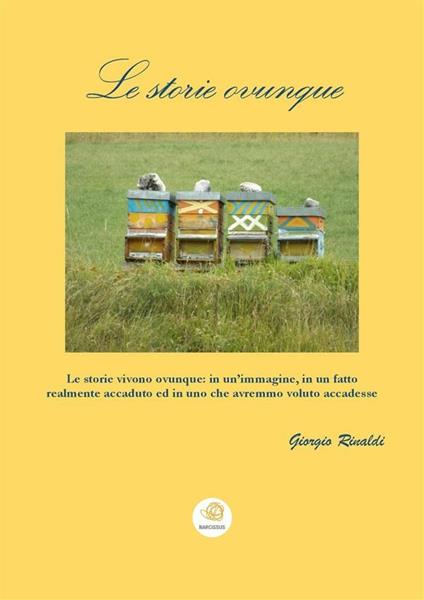 Le storie ovunque - Giorgio Rinaldi - ebook