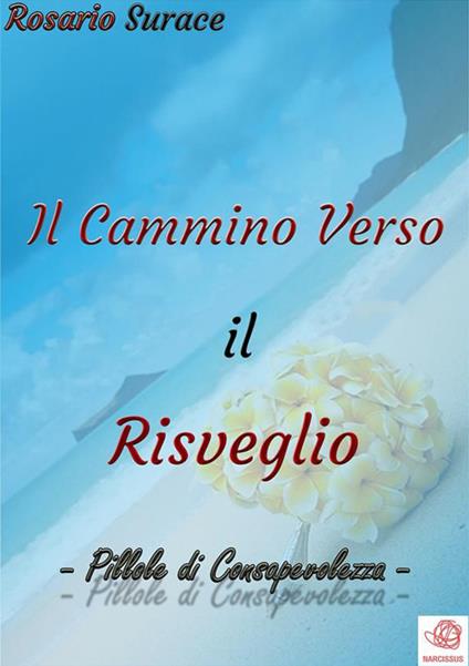 Il cammino verso il risveglio - Rosario Surace - ebook