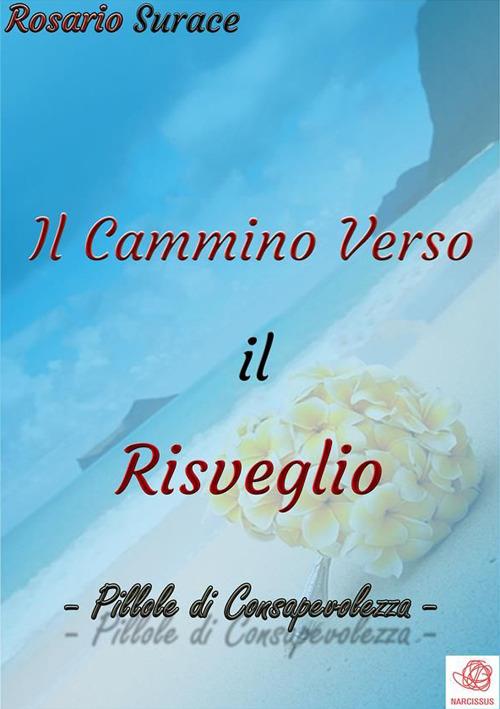 Il cammino verso il risveglio - Rosario Surace - ebook