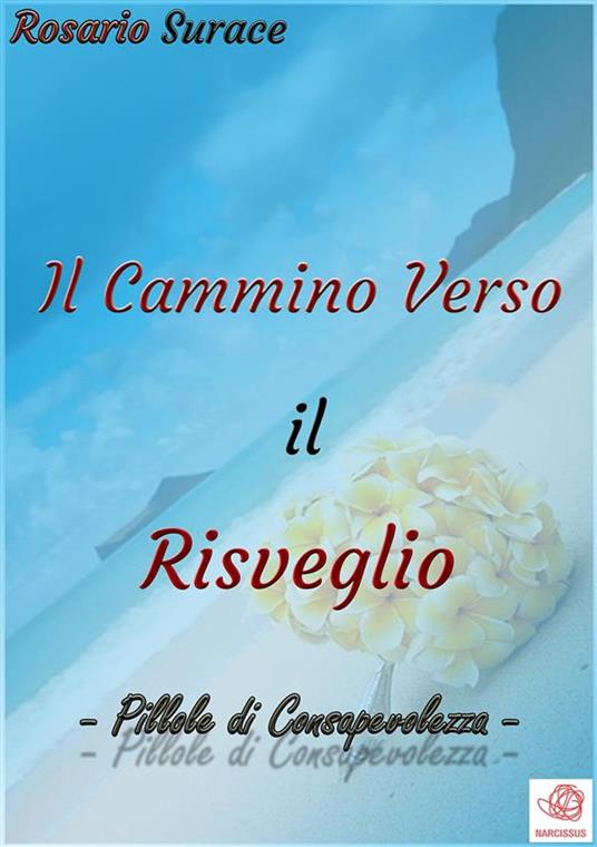 Il Cammino Verso il Risveglio - Rosario Surace - ebook