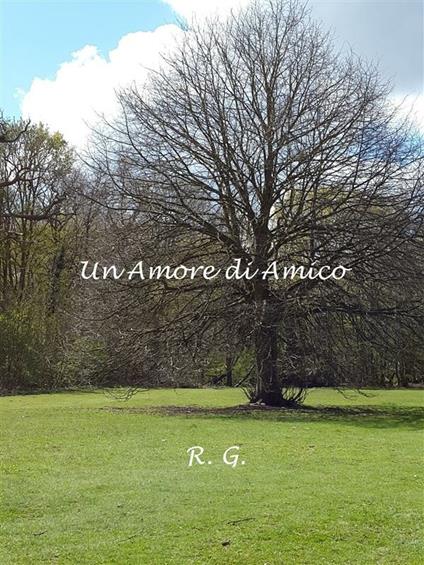 Un amore di amico - R. G. - ebook