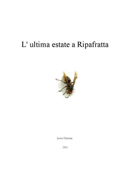 L' ultima estate a Ripafratta - Livio Cotrozzi - ebook