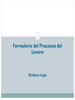 Formulario del processo del lavoro