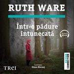 Într-o padure întunecata
