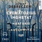 Crematoriul înghe?at: marturie de la Auschwitz
