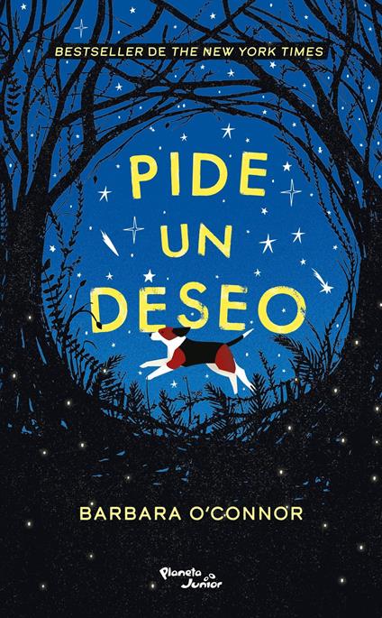Pide un deseo - Barbara O'Connor - ebook