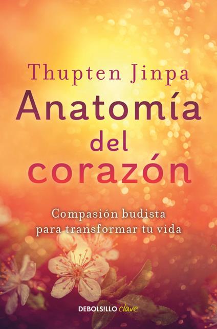 Anatomía del corazón
