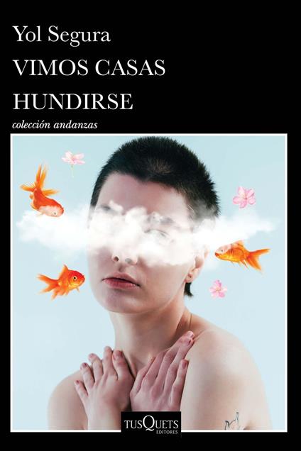 Vimos casas hundirse