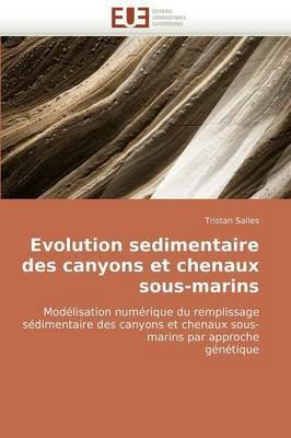 Evolution Sedimentaire Des Canyons Et Chenaux Sous-Marins - Salles-T - cover