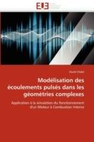 Mod lisation Des  coulements Puls s Dans Les G om tries Complexes - Chalet-D - cover