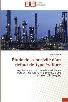 Etude de la Nocivite D Un Defaut de Type Eraflure - Capelle-J - cover