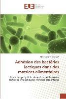 Adhesion des bacteries lactiques dans des matrices alimentaires - Ly-Chatain-M - cover