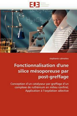 Fonctionnalisation d''une Silice M soporeuse Par Post-Greffage - Calmettes-S - cover