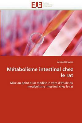 M tabolisme Intestinal Chez Le Rat - Bruyere-A - cover
