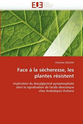 Face   La S cheresse, Les Plantes R sistent - Zalejski-C - cover