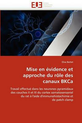 Mise En  vidence Et Approche Du R le Des Canaux Bkca - Bertet-E - cover