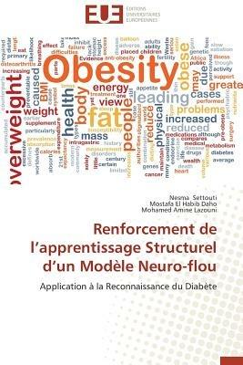 Renforcement de L Apprentissage Structurel D Un Mod le Neuro-Flou - Collectif - cover