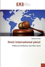Droit international penal