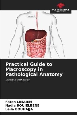 Practical Guide to Macroscopy in Pathological Anatomy - Faten Limaiem,Nadia Boujelbene,Leila Bouhajja - cover