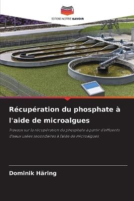 Récupération du phosphate à l'aide de microalgues - Dominik Häring - cover