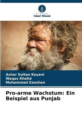 Pro-arme Wachstum: Ein Beispiel aus Punjab - Ashar Sultan Kayani,Waqas Khalid,Muhammad Zeeshan - cover