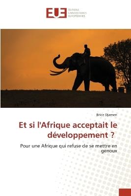 Et si l'Afrique acceptait le développement ? - Brice Djamen - cover