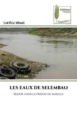 Les Eaux de Selembao - Lok'éric Mbudi - cover