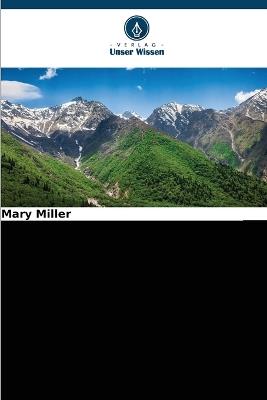 Nationalismus, Identität und Rhetorik in Bosnien-Herzegowina - Mary Miller - cover