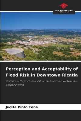 Perception and Acceptability of Flood Risk in Downtown Ricatla - Judite Pinto Tene - cover