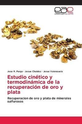 Estudio cinetico y termodinamica de la recuperacion de oro y plata - Jose R Parga,Josue Chaidez,Jesus Valenzuela - cover
