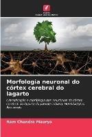 Morfologia neuronal do cortex cerebral do lagarto