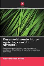 Desenvolvimento hidro-agricola, caso do SITIBIRLI