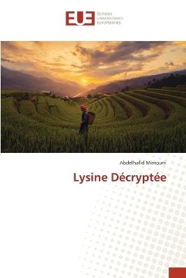 Lysine Décryptée - Abdelhafid Mimouni - cover
