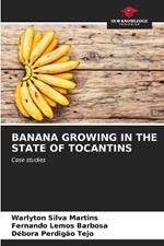 Banana Growing in the State of Tocantins