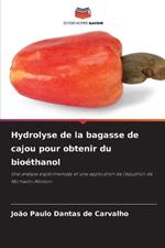 Hydrolyse de la bagasse de cajou pour obtenir du bio?thanol