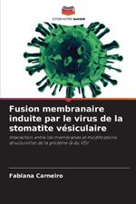 Fusion membranaire induite par le virus de la stomatite v?siculaire