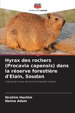 Hyrax des rochers (Procavia capensis) dans la r?serve foresti?re d'Elain, Soudan