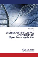 CLONING OF P80 SURFACE LIPOPROTEIN OF Mycoplasma agalactiae