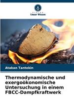 Thermodynamische und exergo?konomische Untersuchung in einem FBCC-Dampfkraftwerk