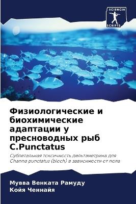 ??????????????? ? ????????????? ???????& - ????? ??????? ??????,???? ??????? - cover