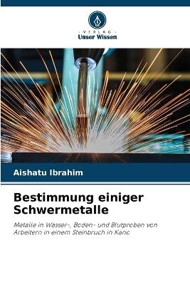 Bestimmung einiger Schwermetalle - Aishatu Ibrahim - cover